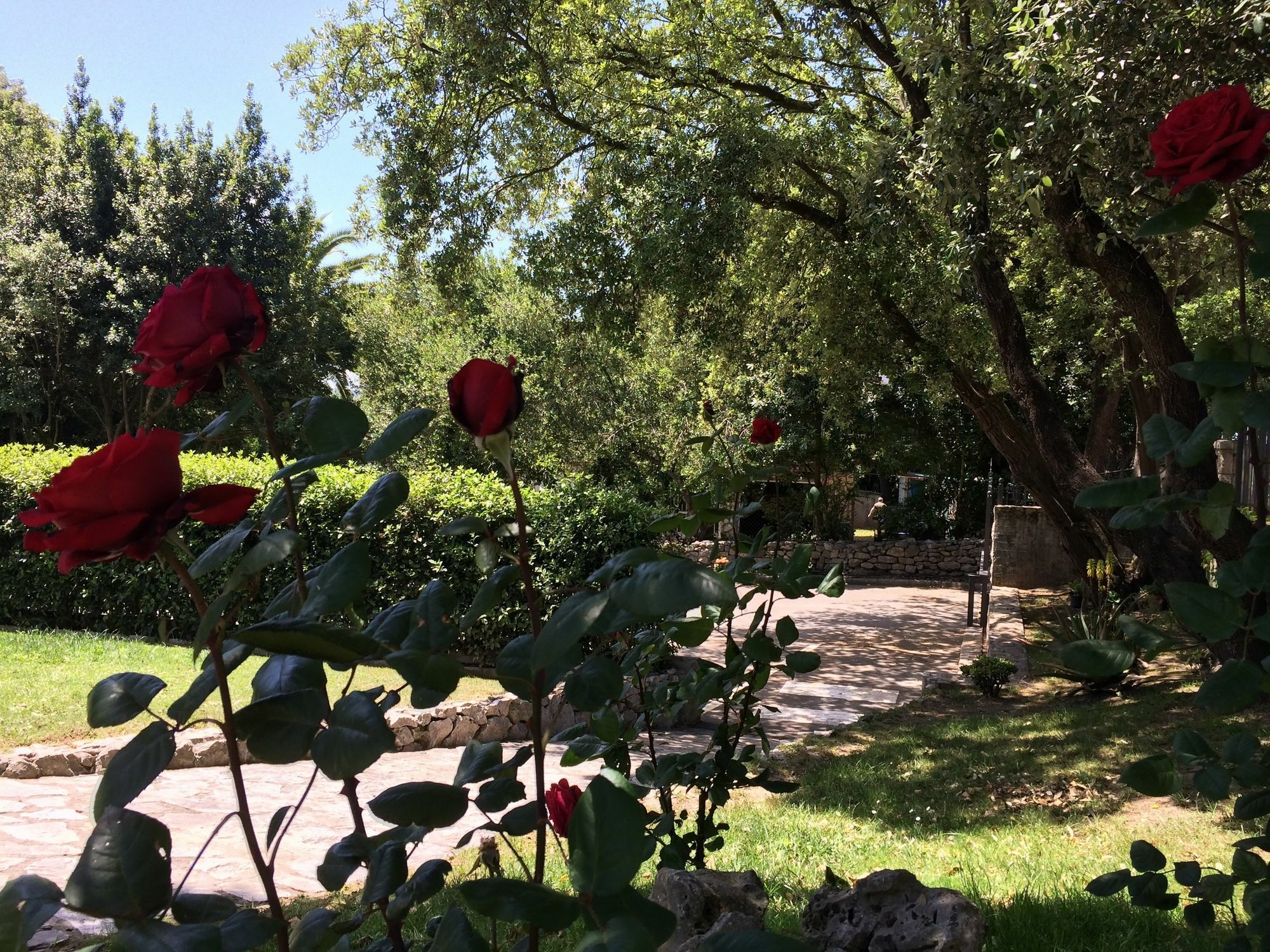 Hotel Posada La Robleda (Adults Only) Arnuero Εξωτερικό φωτογραφία